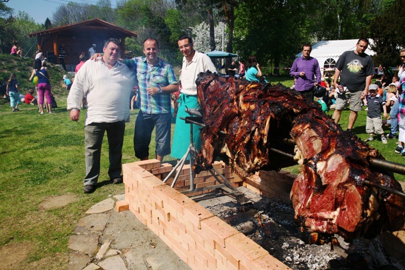 Opekanie vola, obnovenie tradície po 20 rokoch na Zoške. 1.mája 2012 Modra Harmónia.